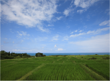 太陽的孩⼦/糖部落在這片⼭海智慧中